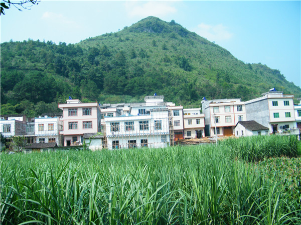 都安瑶族自治县下坳镇