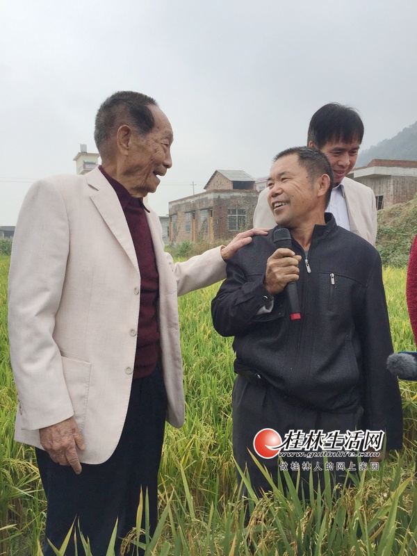 袁隆平赞灌阳再生稻，鼓励农民王良富好好种田。