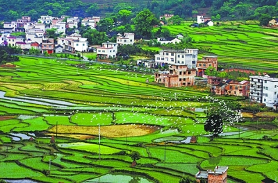 全州县大西江镇