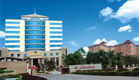 兴业县大平山镇