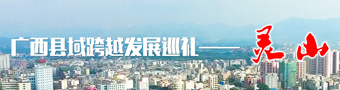 广西县域跨越发展巡礼——灵山