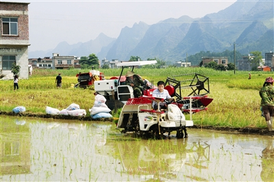 都安瑶族自治县高岭镇