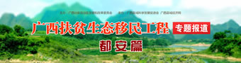 广西扶贫移民搬迁工作专题报道都安篇
