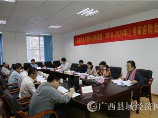县促会召开《玉林市乡村振兴战略规划》专家咨询会