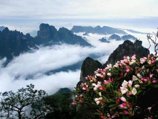 金秀：圣堂仙境，世界瑶都