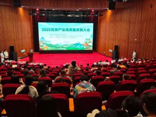 2025花茶产业高质量发展大会暨广西首届花茶斗茶大会在南宁成功举办