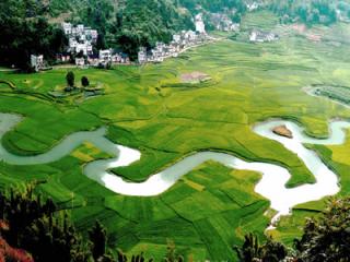 巴马瑶族自治县：世界长寿之乡 中国人瑞圣地