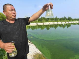 改厕易，污水处理难？农村改厕污水处理存隐忧