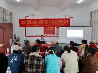 送技田间助振兴 广西农工院专家团精准赋能县域农业