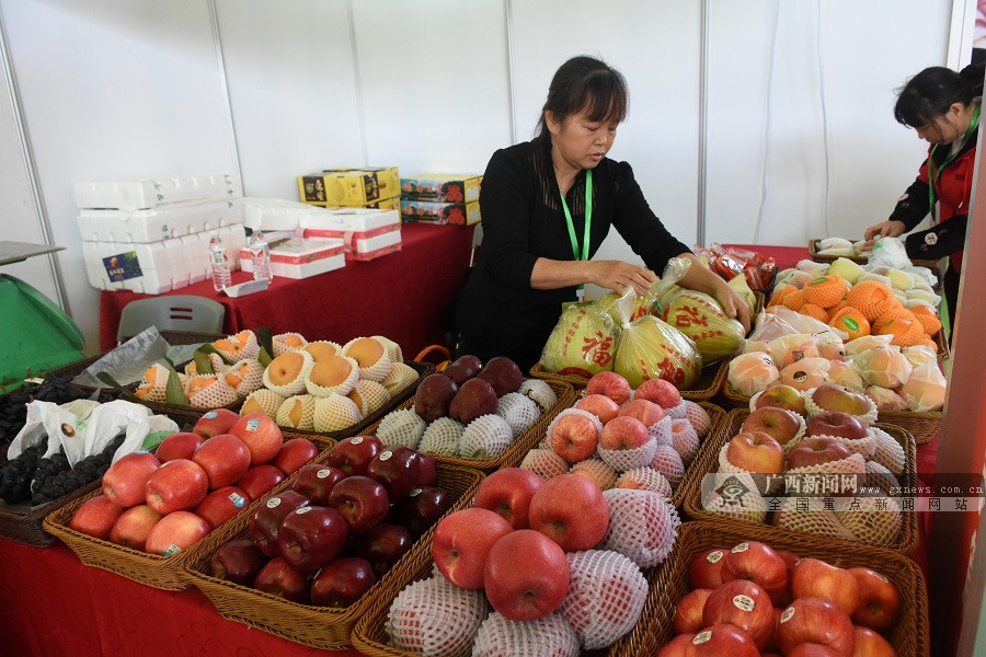 凭祥：共建陆海新通道 打好“自贸区跨境产业”牌