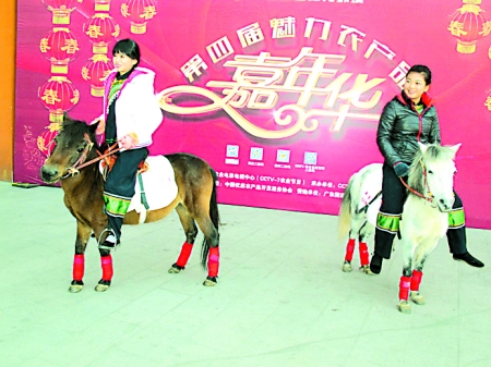 德保矮马入选中国十大魅力农产品