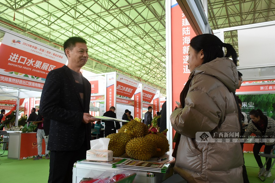 凭祥：共建陆海新通道 打好“自贸区跨境产业”牌