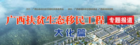 广西扶贫移民搬迁工作专题报道大化篇