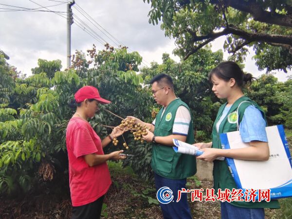 骆小敏：打造增收“致富果” 电商助力产业兴  