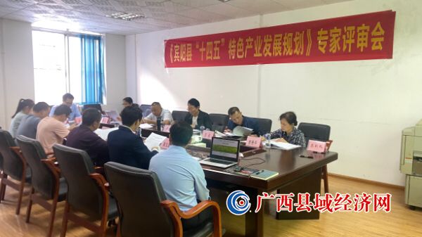 《宾阳县“十四五”特色产业发展规划》 通过专家评审