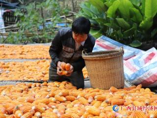 袁军： 身残志坚 用勤劳双手创造幸福生活