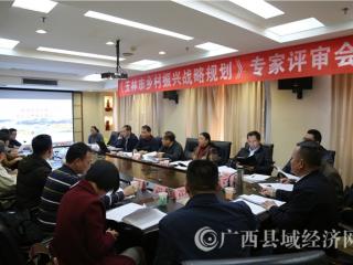 玉林市乡村振兴战略规划通过专家评审