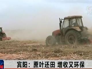 宾阳县:蔗叶还田 增收又环保