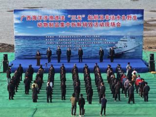 广西集中拆解销毁158艘涉渔“三无”船舶 亮剑涉渔违法筑牢渔业安全防线