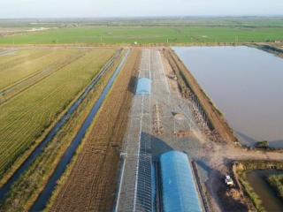 十年深耕结硕果 桂柬共筑澜湄“鱼米走廊”