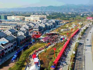 融安县：兴业富城庆丰收 桔染大地颂辉煌