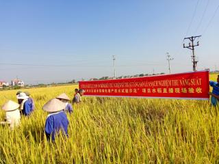 桂越农业合作解锁“技术共享”硬核模式