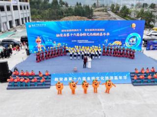 融安金桔耀九州 产业融合兴百业——融安县第十六届金桔文化旅游嘉年华活动启幕