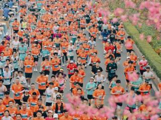 3.6万跑者赴约！2025南马实现“水果自由”，ai赋能 老友温情暖动绿城