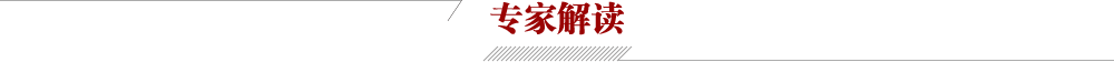 专家解读