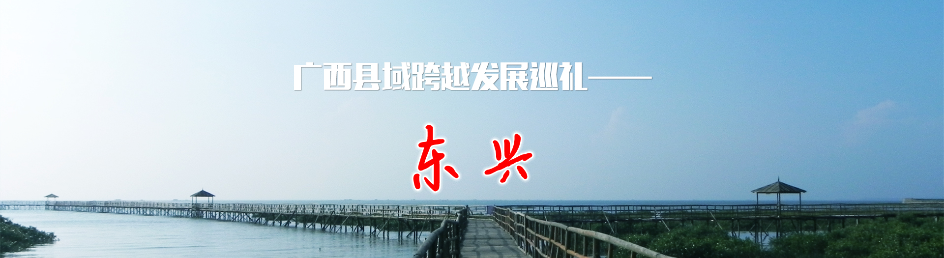 ���������խ��չѳ�񡪡�����