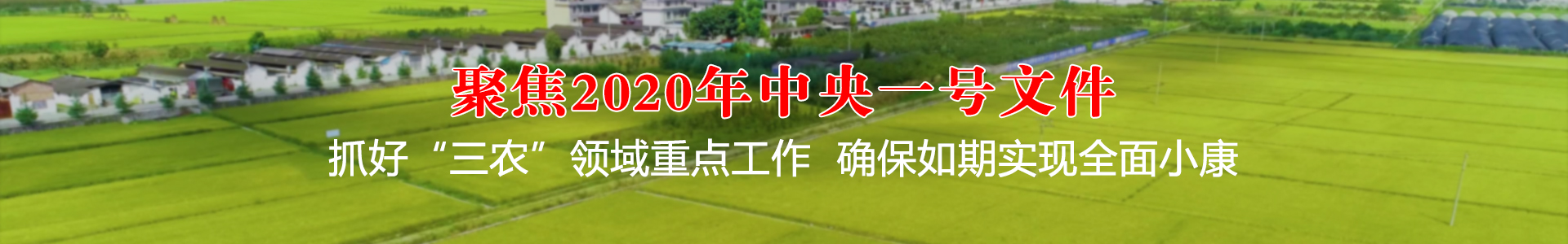聚焦2020年中央一号文件