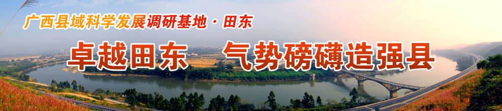 卓越田东 气势磅礴造强县