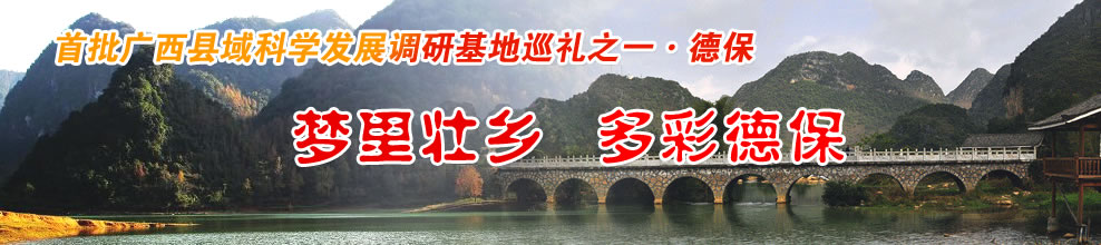首批广西县域科学发展调研基地巡礼之一·德保