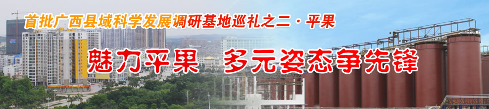首批广西县域科学发展调研基地巡礼之二·平果